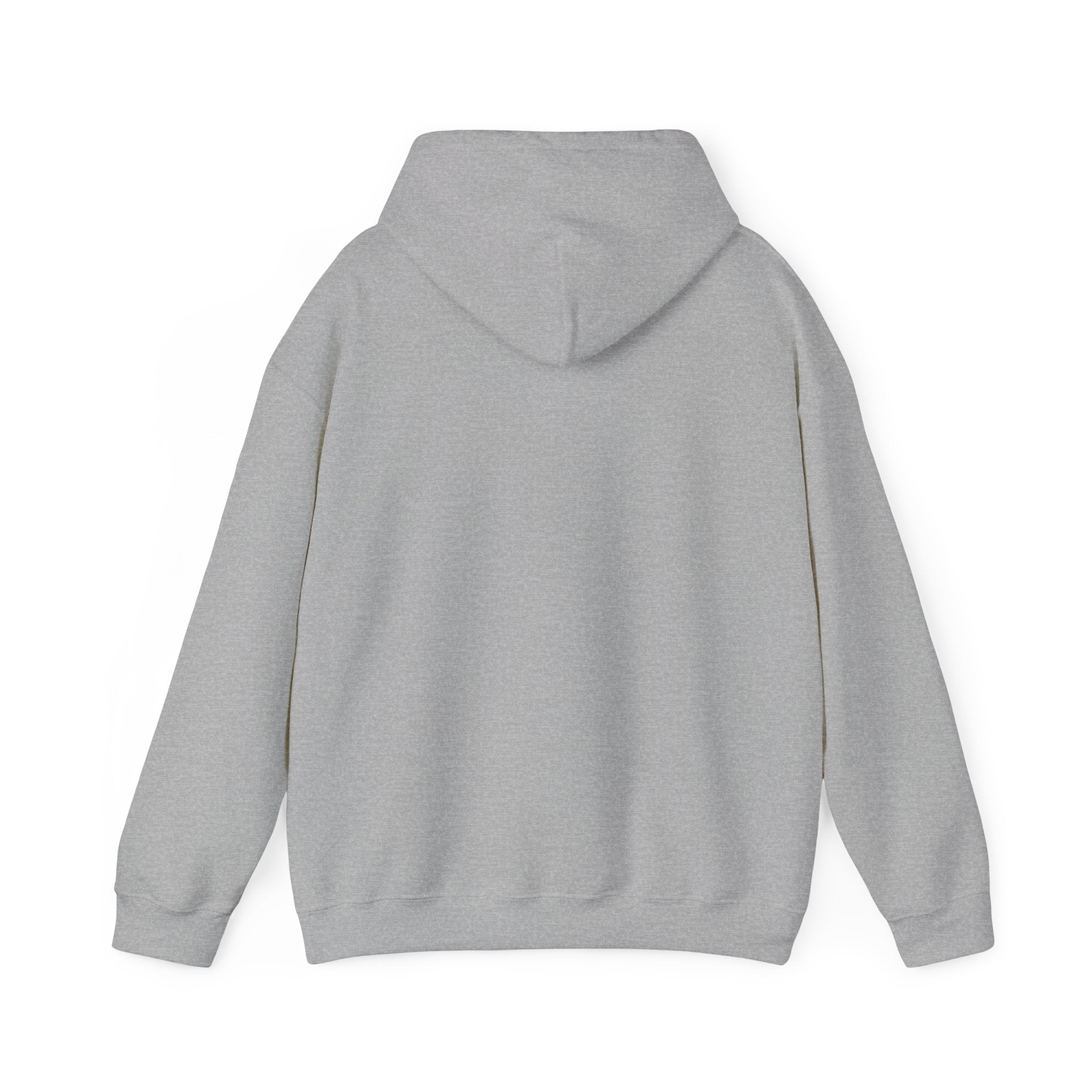 Butterfly Hair Hoodie